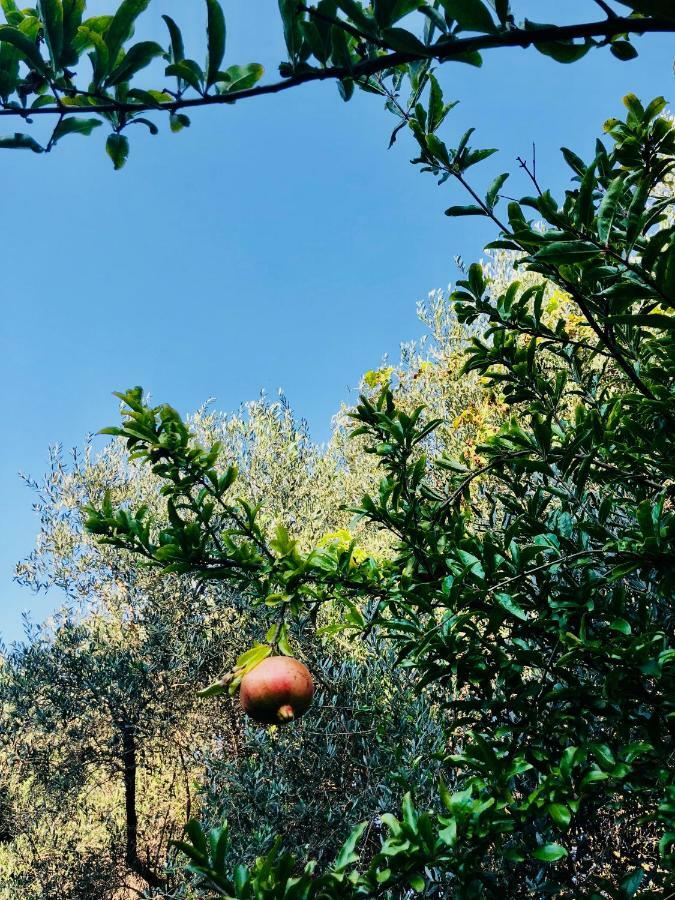Ricomincio Da 3 Bed & Breakfast Pompeii Eksteriør bilde